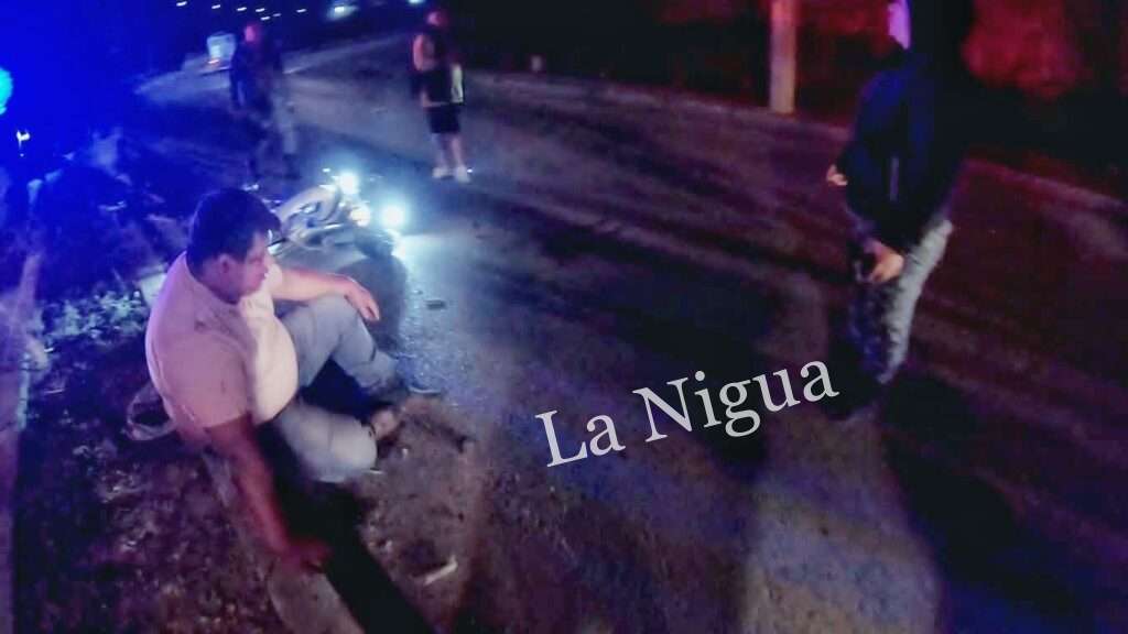 EBRIO PROVOCA MOTAZO VS UNA PALMERA