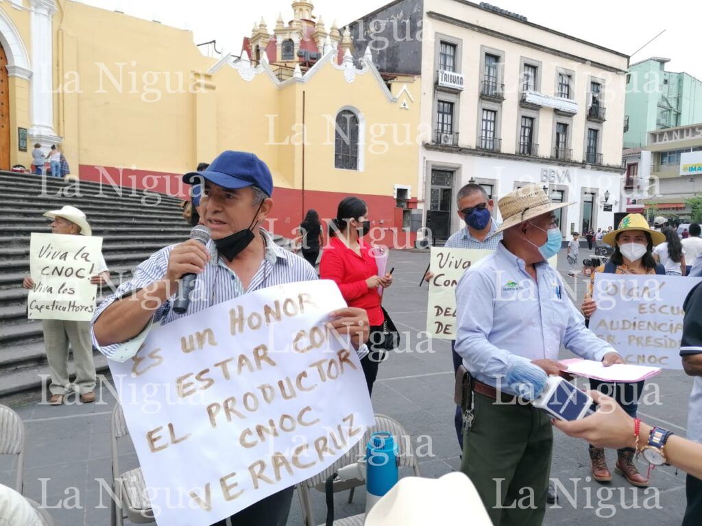 Cafeticultores preocupados por modificaciones en la Ley de Fomento de la Cafeticultura Sustentable