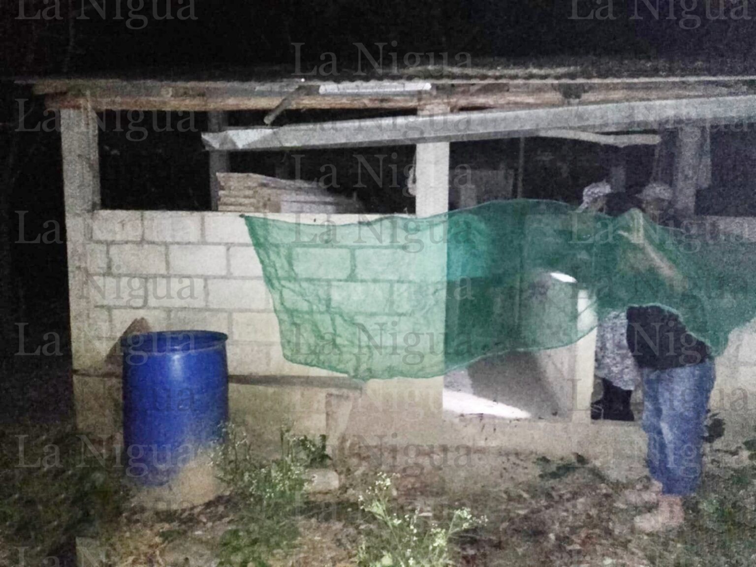 LO EJECUTAR0N EN SU MILPA