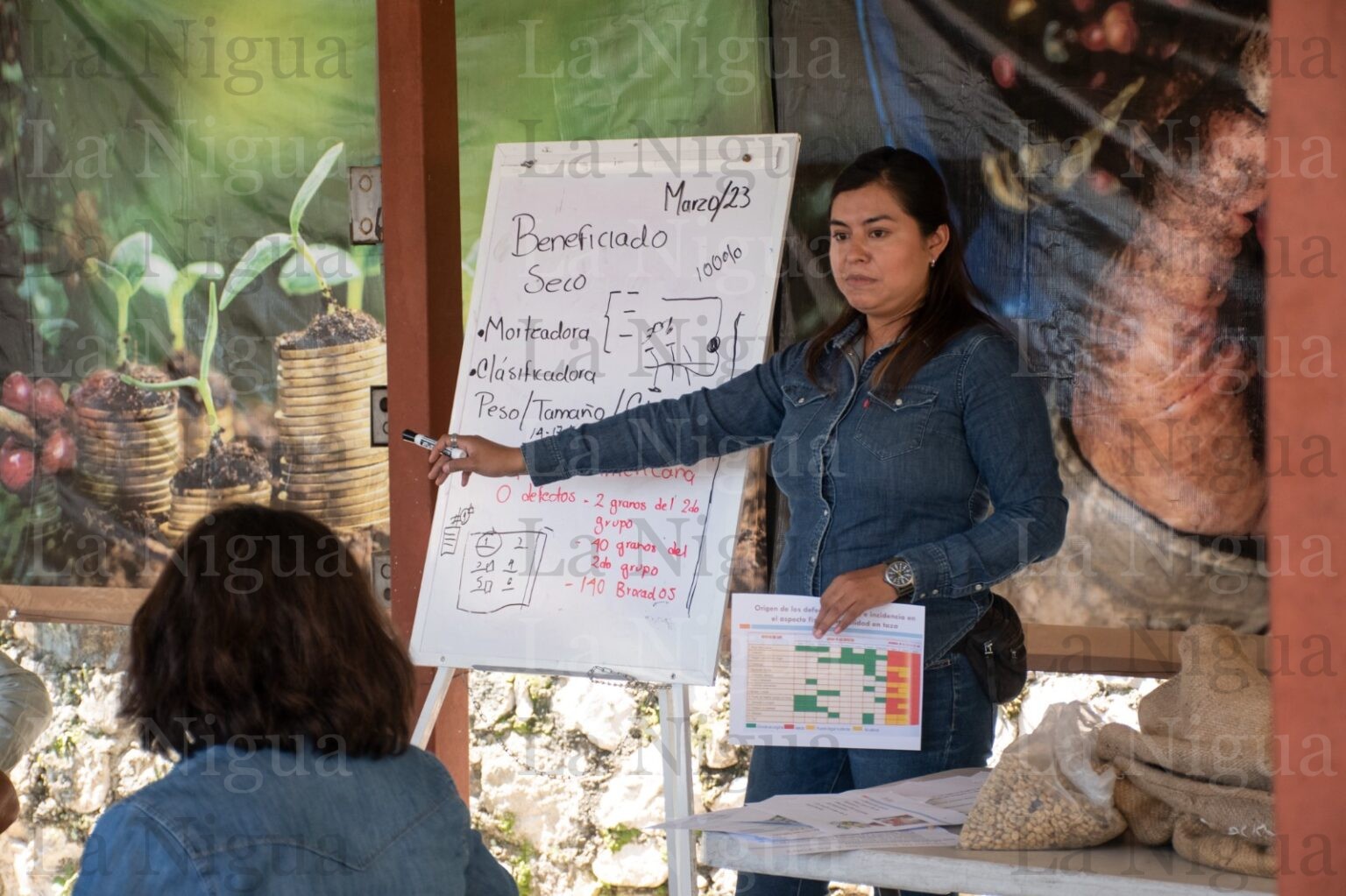 Capacitan a caficultores para mejorar calidad en su producción y mejorar su precio