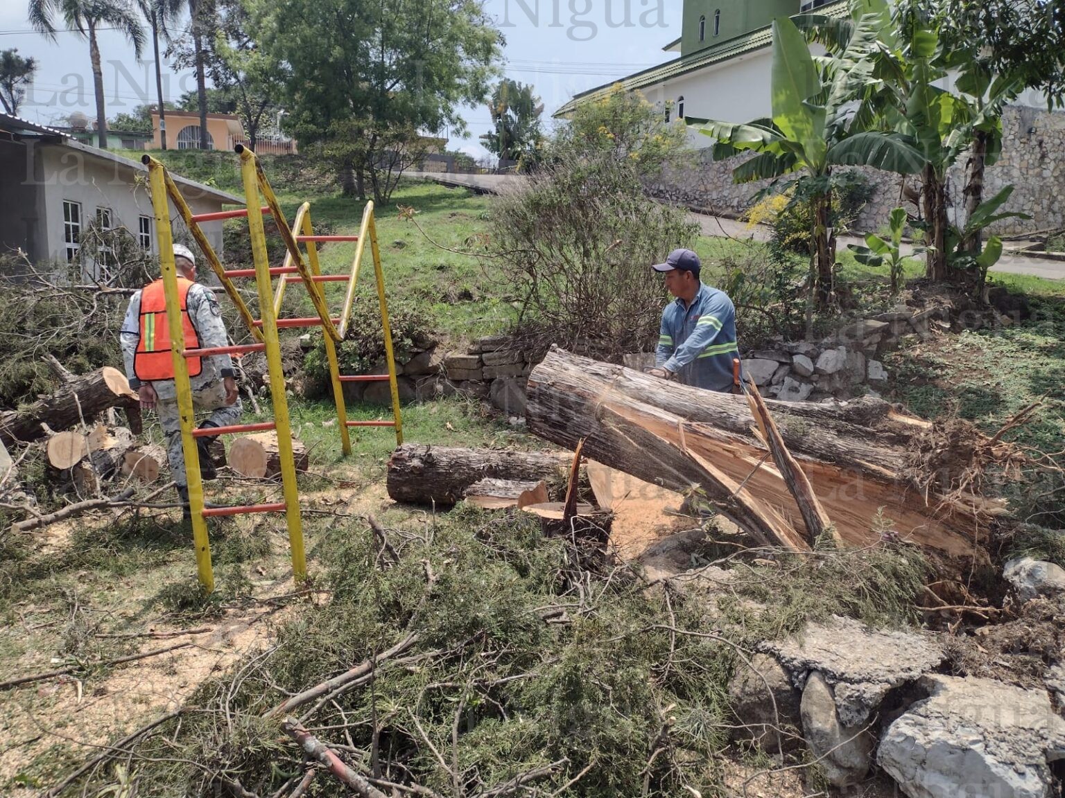 Continúan apoyos por tormenta eléctrica; se otorgan despensas