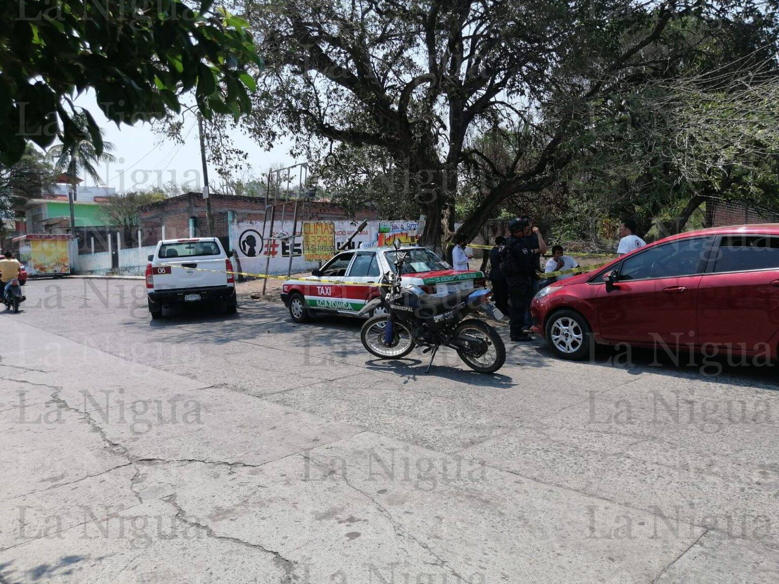 Pitbull ataca y mata a niña de 2 años