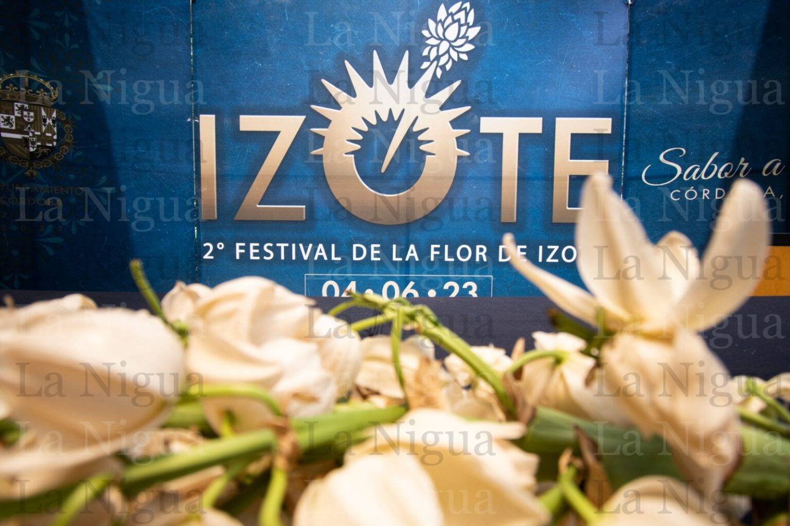 Convocan a cocineros tradicionales y restaurantes a participar en el 2º Festival de la Flor de Izote
