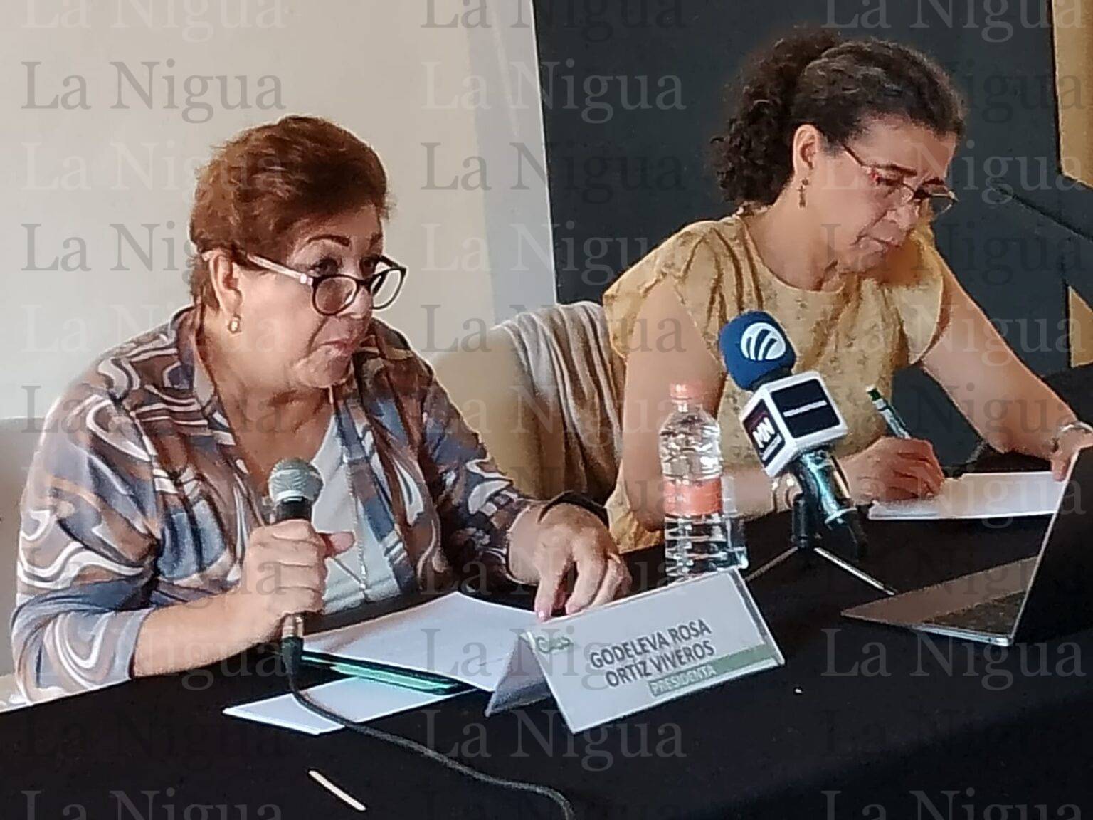 Solo aplazamientos y demoras en caso de desfalco al IPE