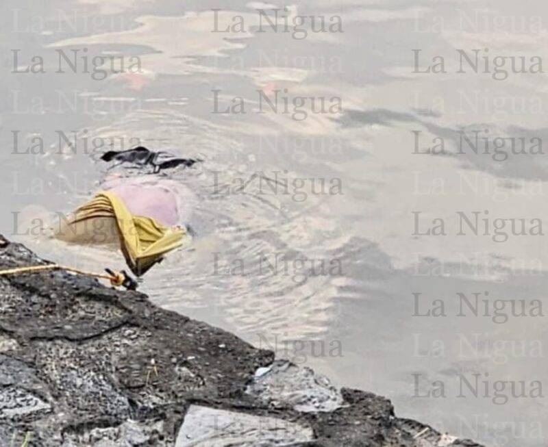 Muere ahogado un estibador en Tuxpan