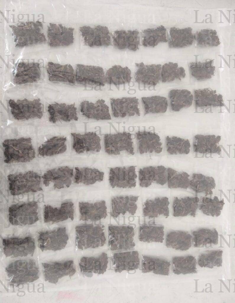 Detienen preventivos a narco menudista en una comunidad papanteca