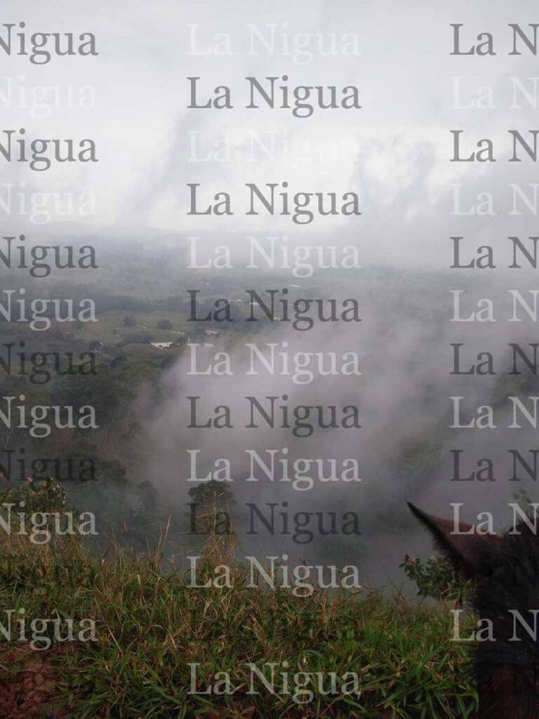 Cae tromba en zona rural de Las Choapas