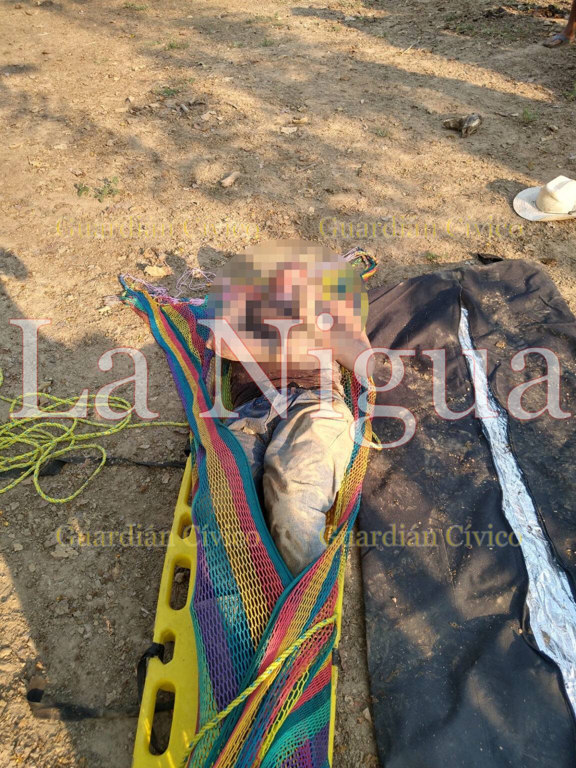 Campesino de Las Choapas muere por picadura de nauyaca