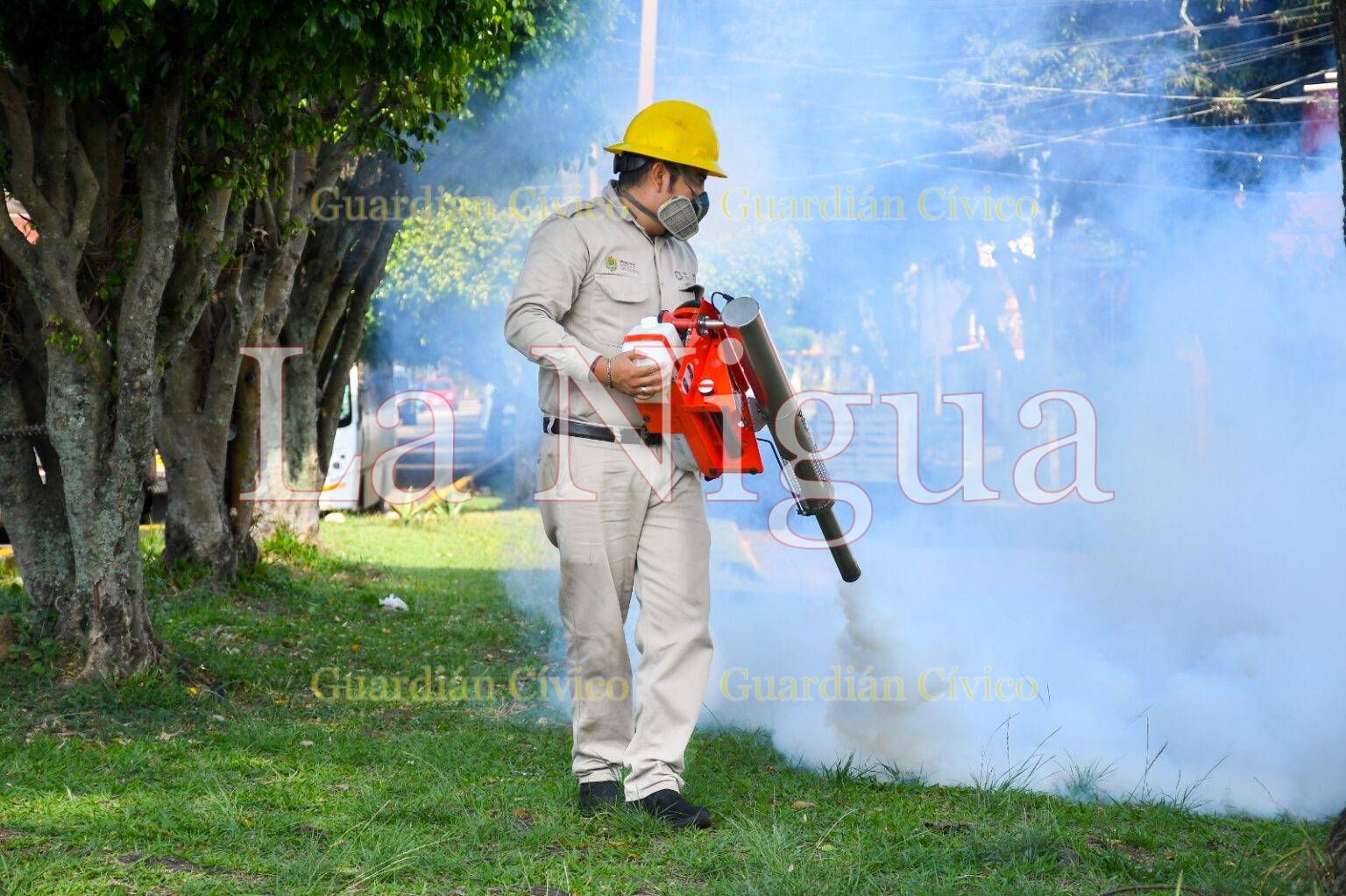 Definen estrategias para disminución del dengue