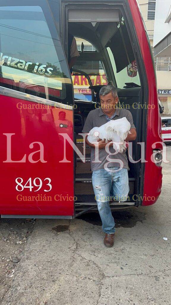 Nace bebé en un autobús Frontera en Tantoyuca