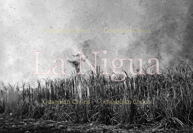 El incendio que casi pone en quiebra el naciente Ingenio El Potrero.