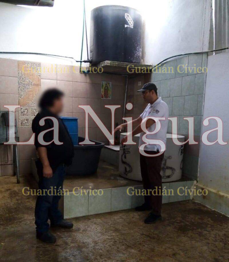 SS y Sesver combaten proliferación del mosco transmisor del dengue