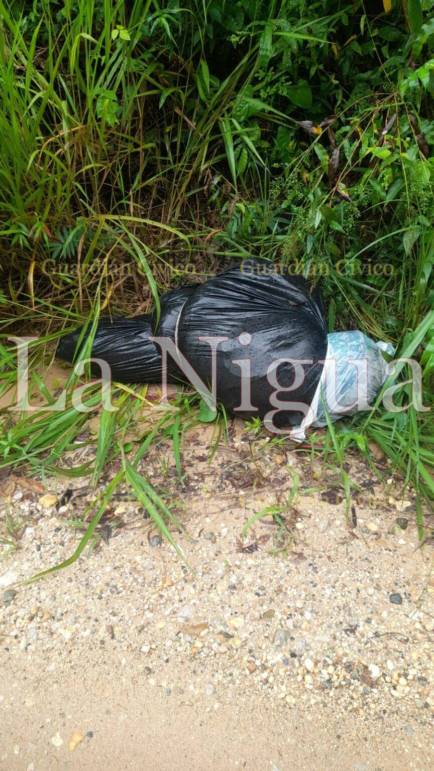 Becerro embolsado provoca movilización policíaca en Villa Cuichapa