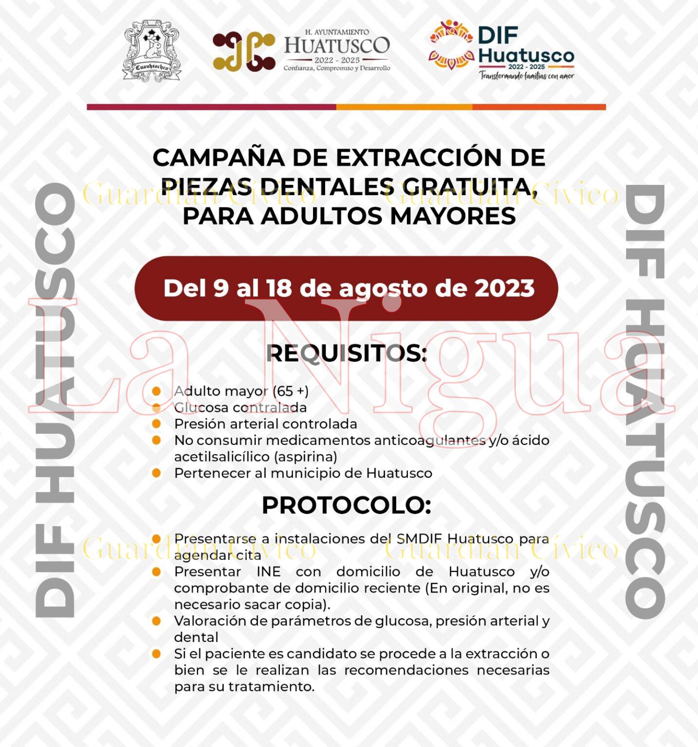 ¡Celebramos la sabiduría y experiencia de nuestros queridos Abuelos!