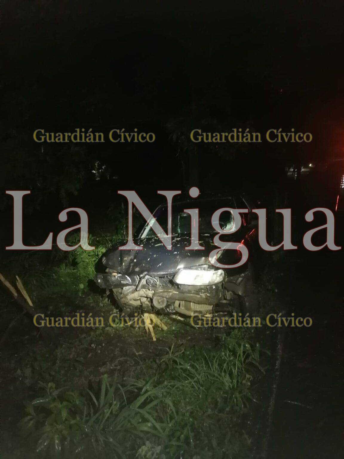 Se sale del camino y choca contra un árbol