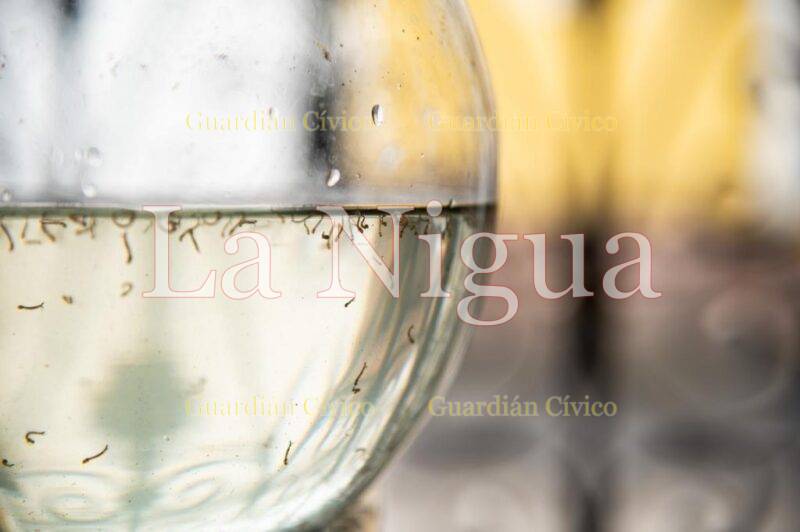 Capacita Jurisdicción Sanitaria a jefes de manzana, agentes y funcionarios municipales para la eliminación de criaderos del dengue