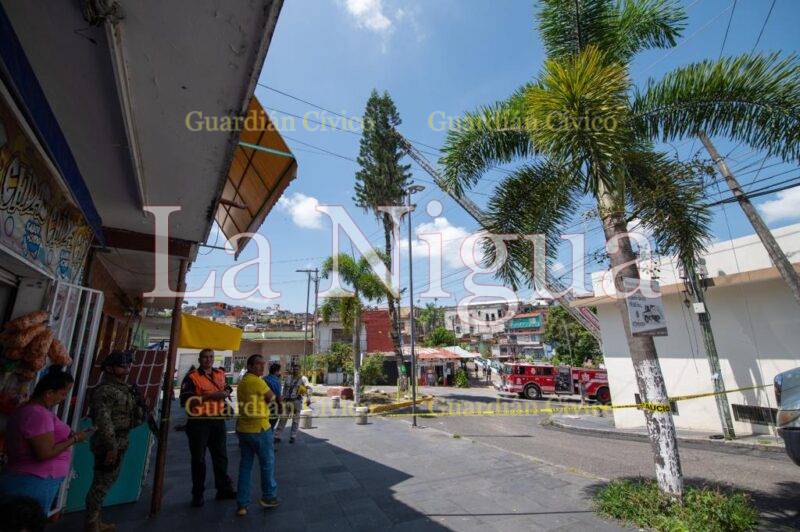 Realiza Ayuntamiento maniobras de remoción de pino en Dos Puentes