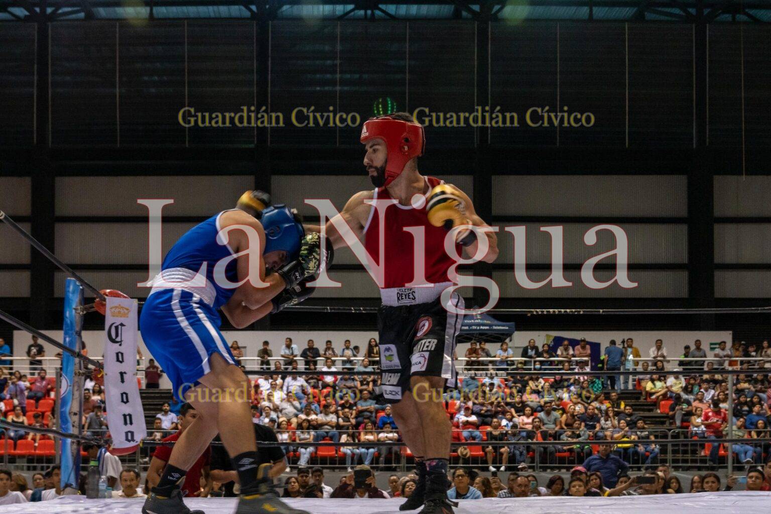 Realizará Comude primer “Festival de Deportes de Contacto”