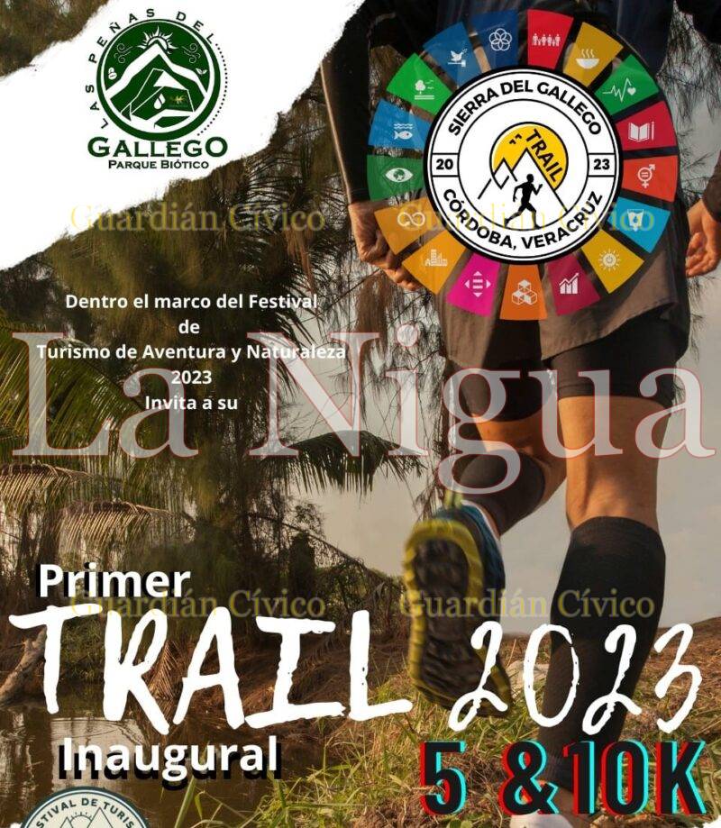 Primer Trail Sierra del Gallego; este domingo 5 y 10 K a las 8