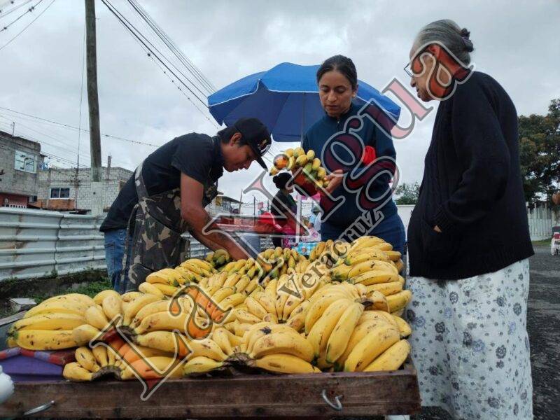 Promueve Ayuntamiento de Córdoba “Mercado Sobre Ruedas”