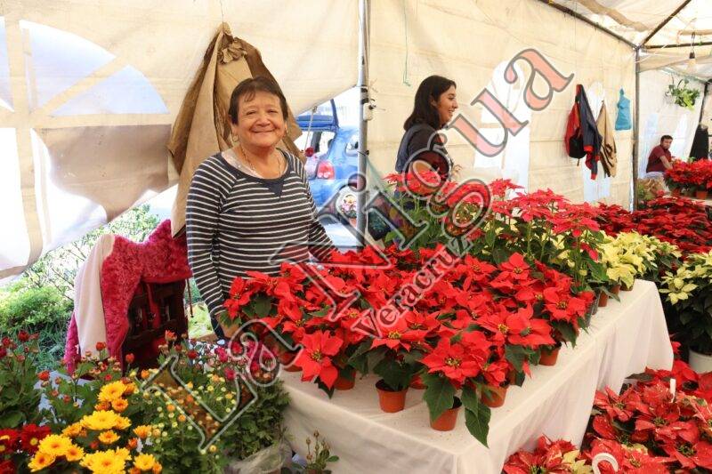 Promueve Desarrollo Económico Expo Venta “Noche Buena”