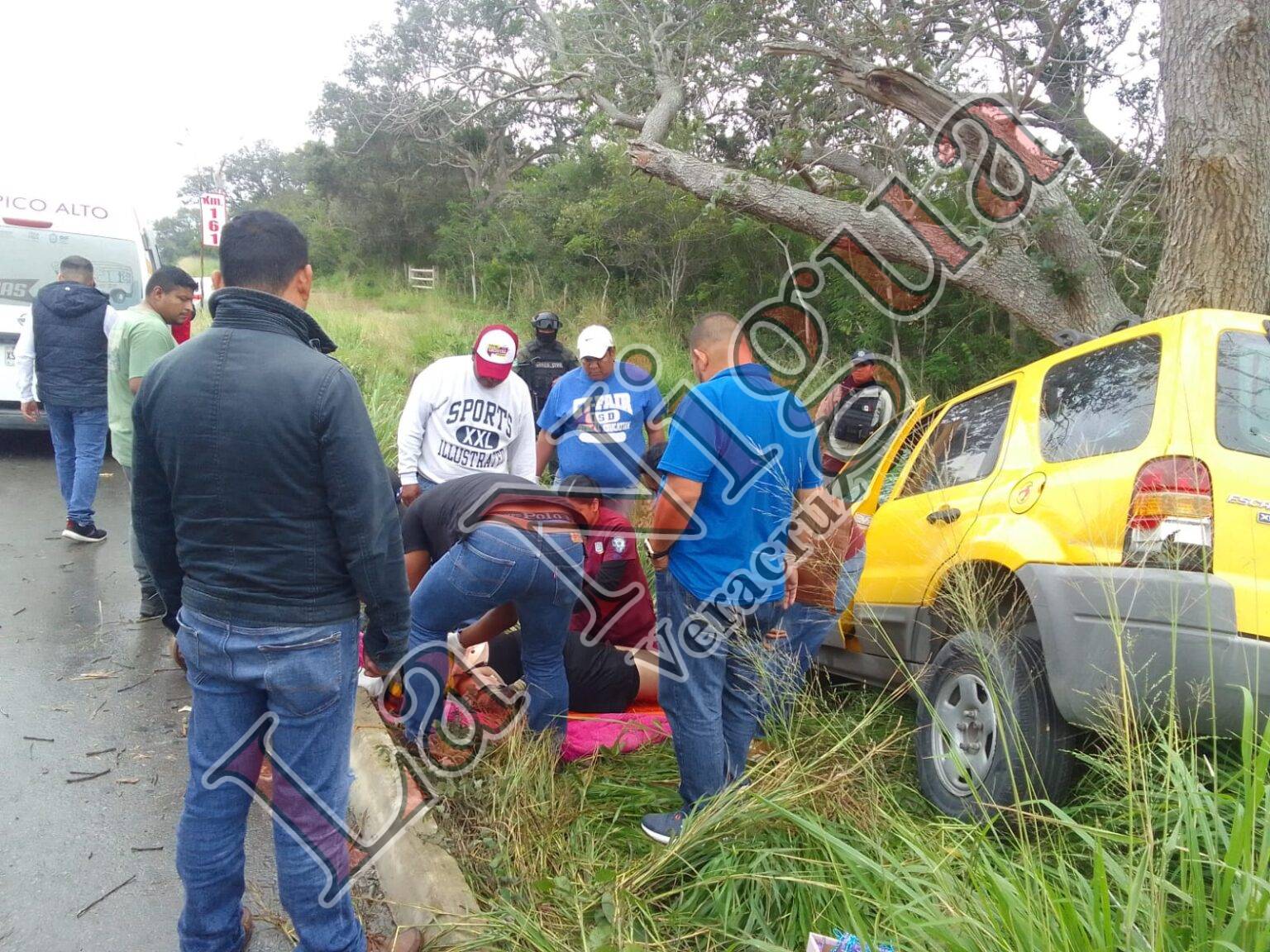 Se salen del camino y chocan contra árbol