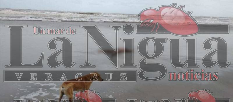 Hallan cuerpo de jovencita que se ahogó el domingo en Paraíso, Tabasco