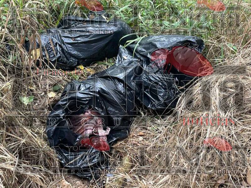 Localizan cuerpos embolsados en Acayucan