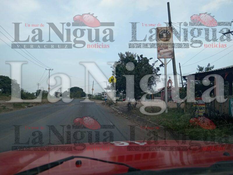 Reportan enjambre de avispas a un costado de la carretera a la altura del tope El Paraíso