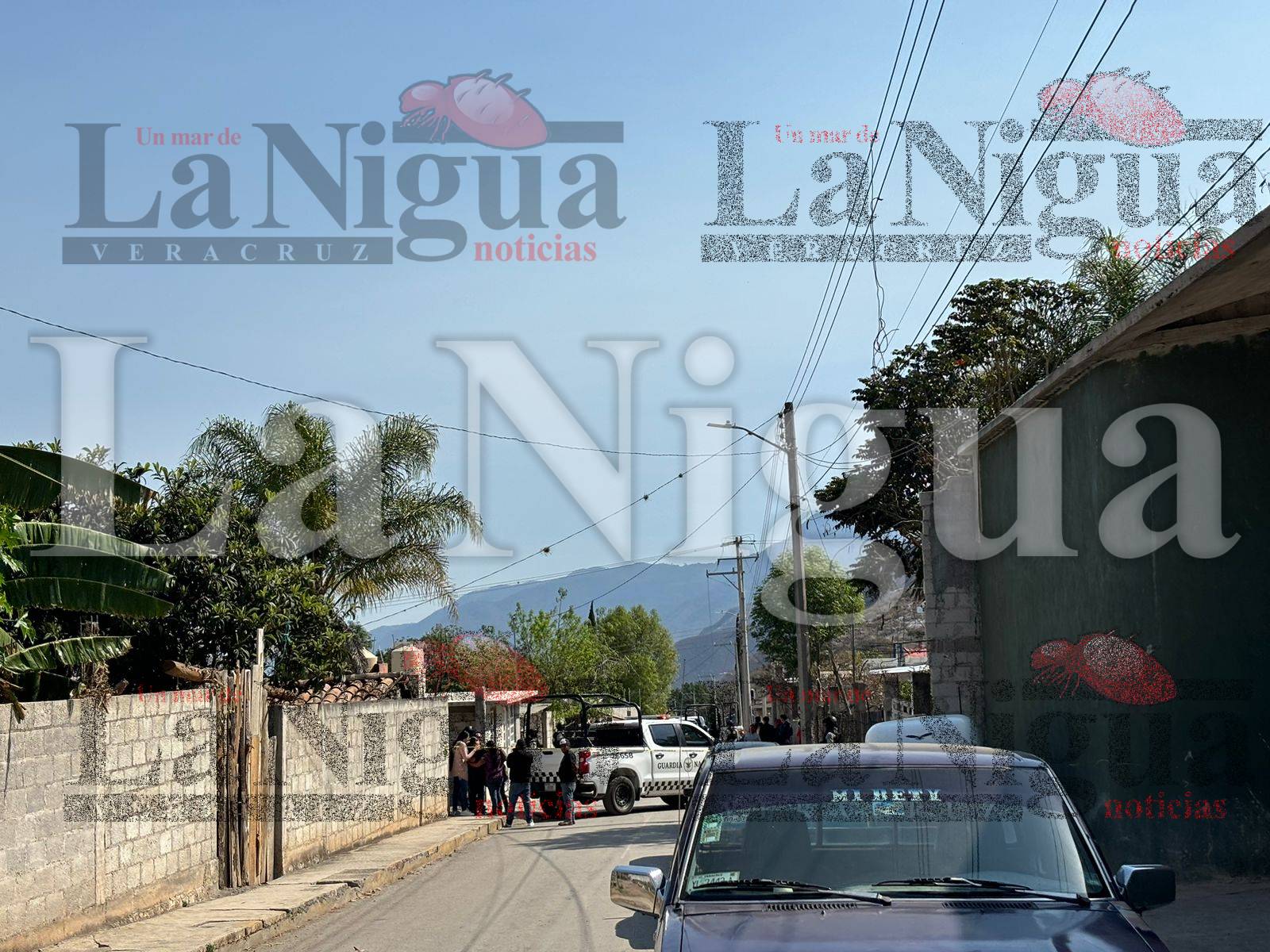 Masacre en Acultzingo 3 WhatsApp Image 2024 02 23 at 11.13.33