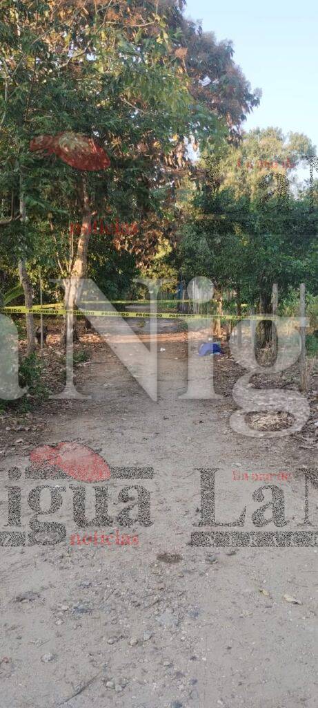 Matan a niño migrante a balazos