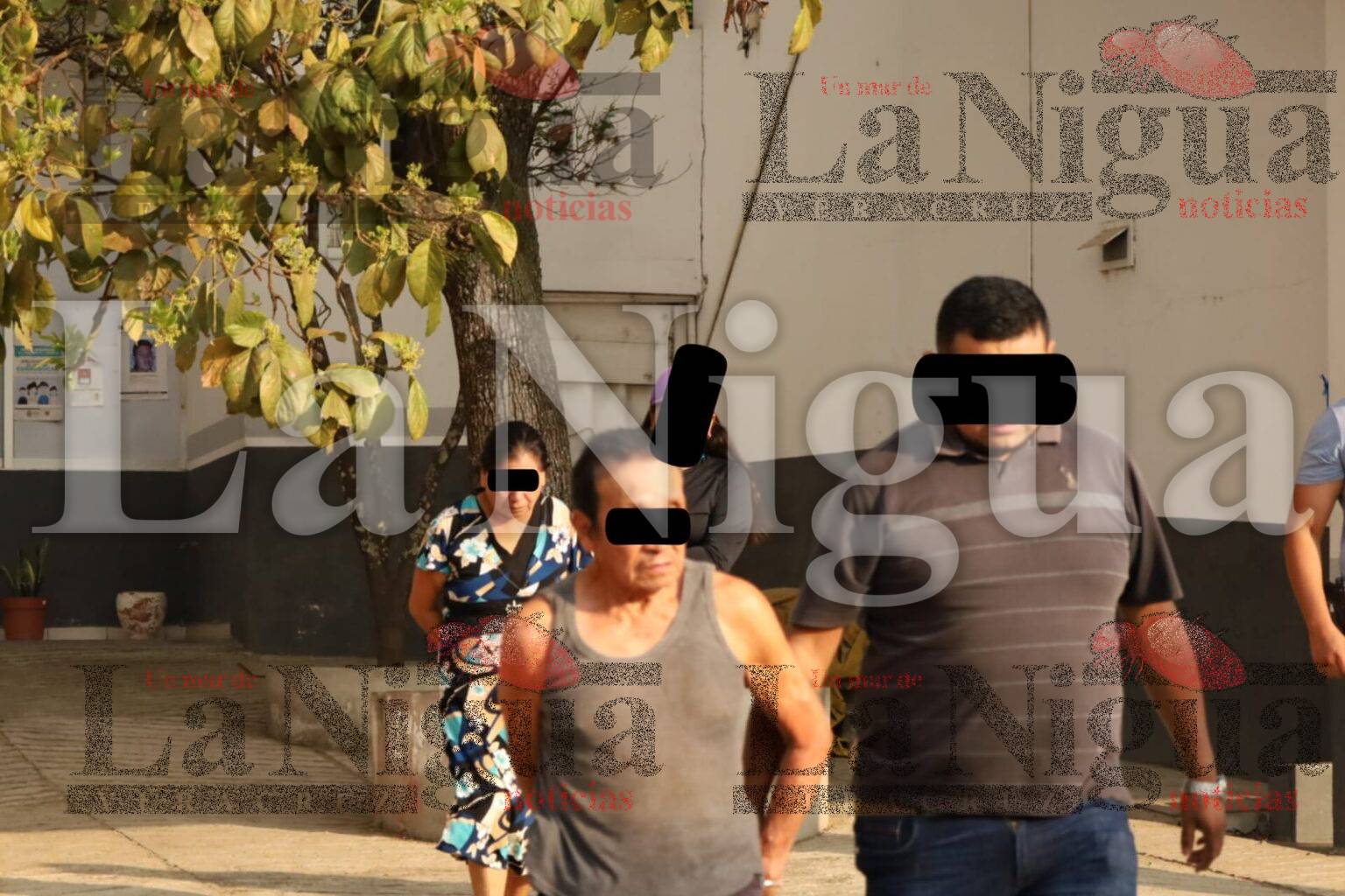 Caen integrantes del cartel Sierra en Veracruz