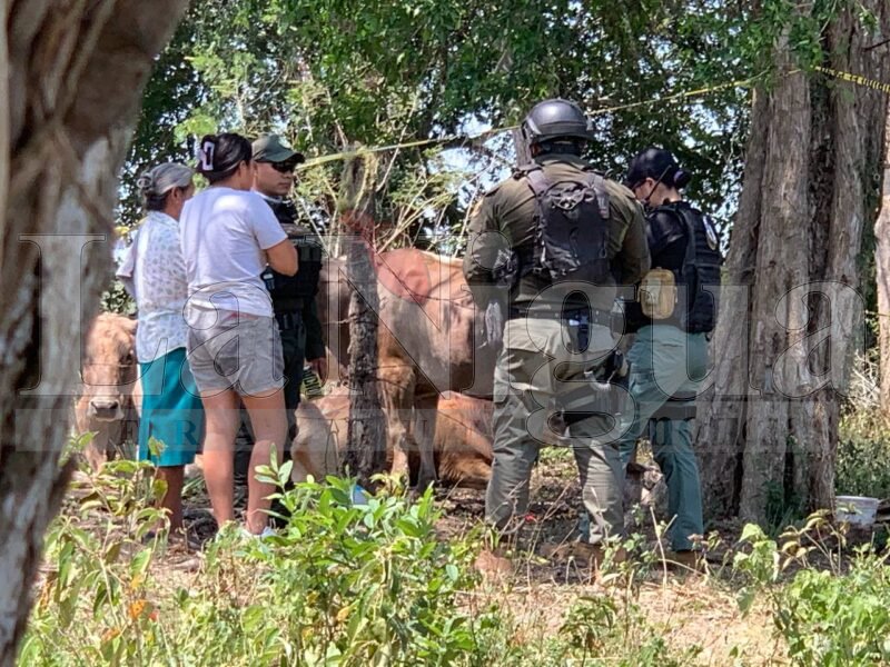 Localizan a vaquero sin vida en un potrero en Tantoyuca