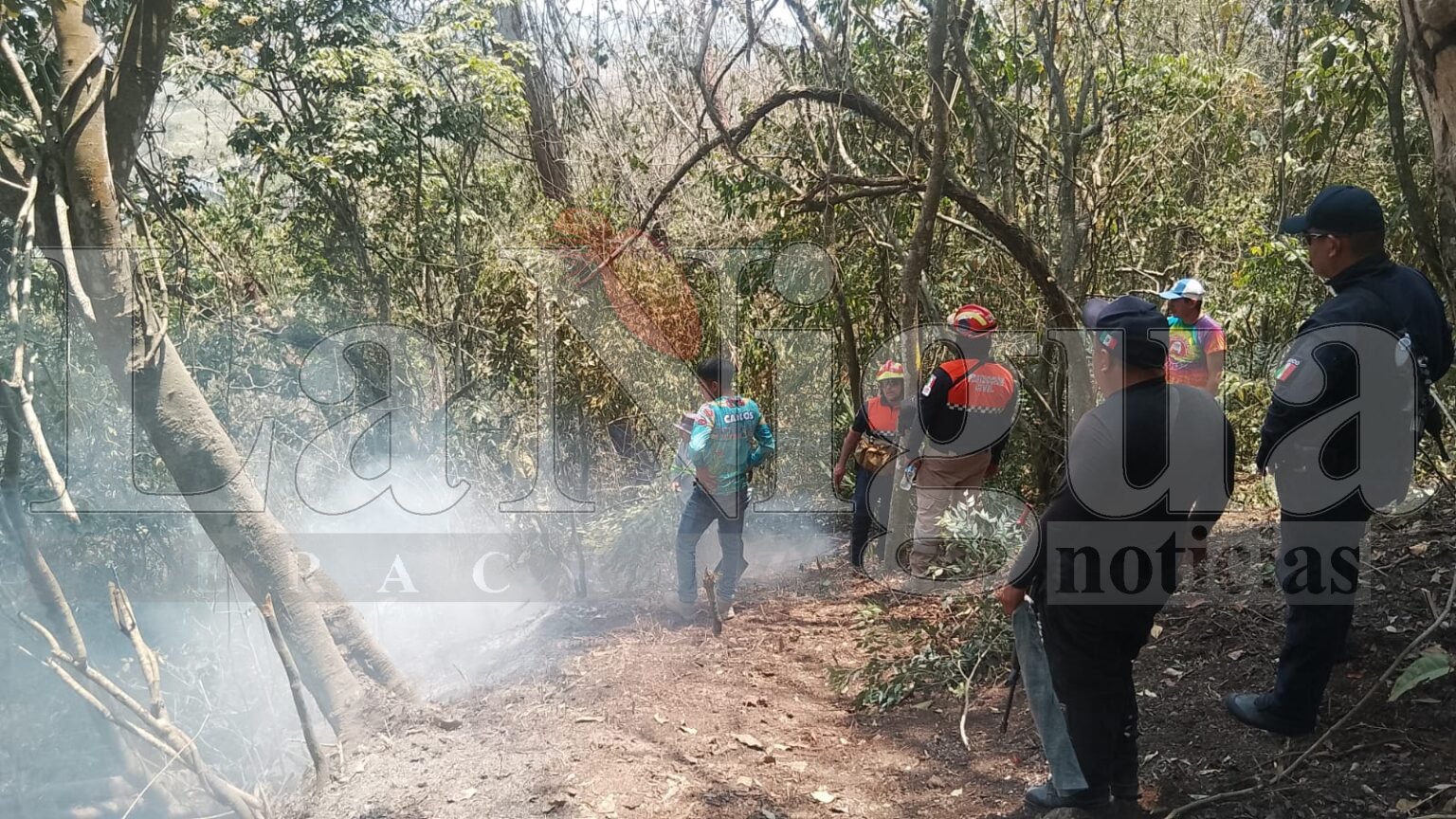 Controlan incendio en cerro Atoyac