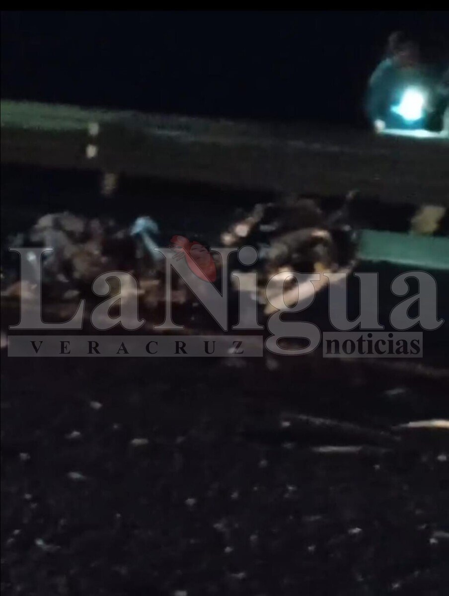 Tragedia en la Autopista México-Tuxpan: Choque fatal entre pipa y vehículo particular deja dos muertos 4 WhatsApp Image 2024 04 29 at 22.39.15 1