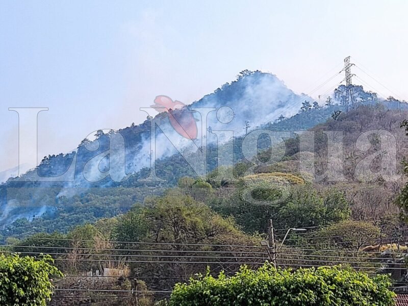 Vecinos de Amellal Claman por Ayuda en Incendio en el Cerro