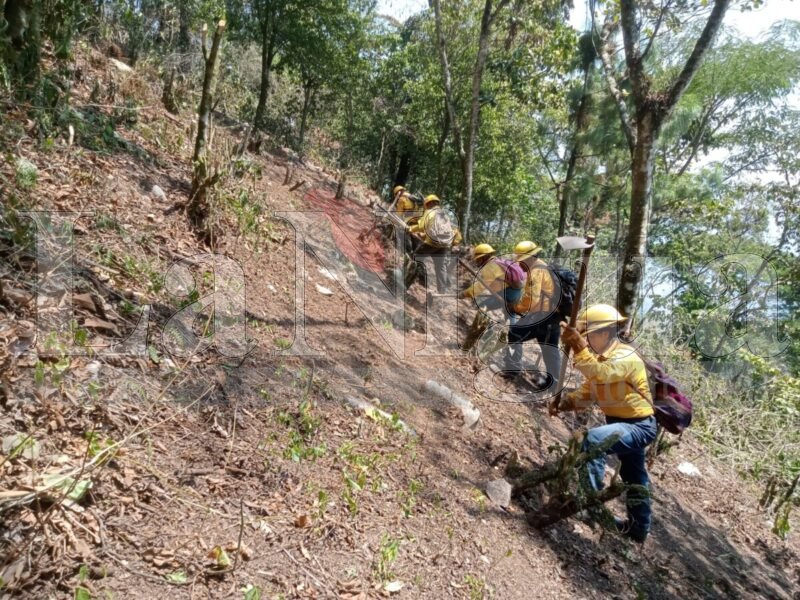 Continúan labores de combate al incendio en Ixtaczoquitlán