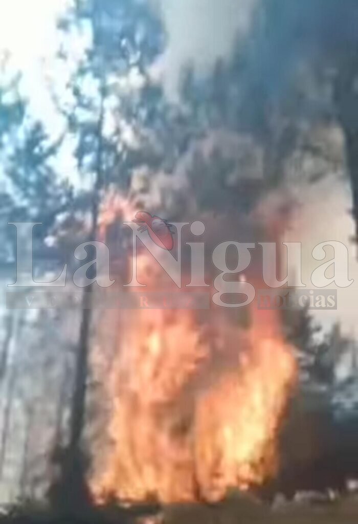 Continúan labores de combate al incendio en Ixtaczoquitlán