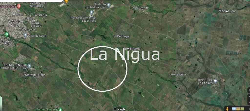 Basurero a cielo abierto podría contaminar mantos acuíferos