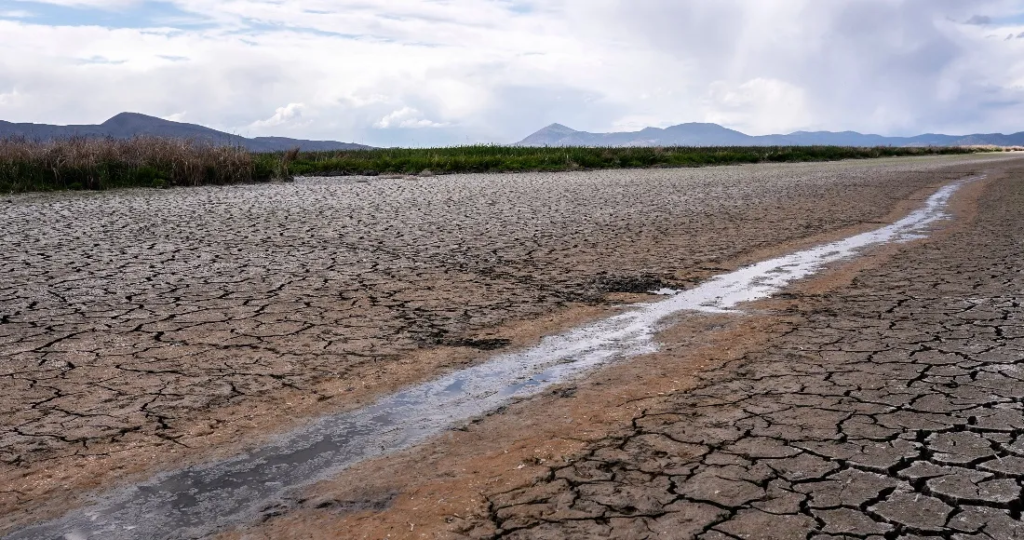 Conagua declara el inicio de la emergencia por sequía en México; lo publica en el DOF