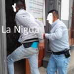 el cachorro