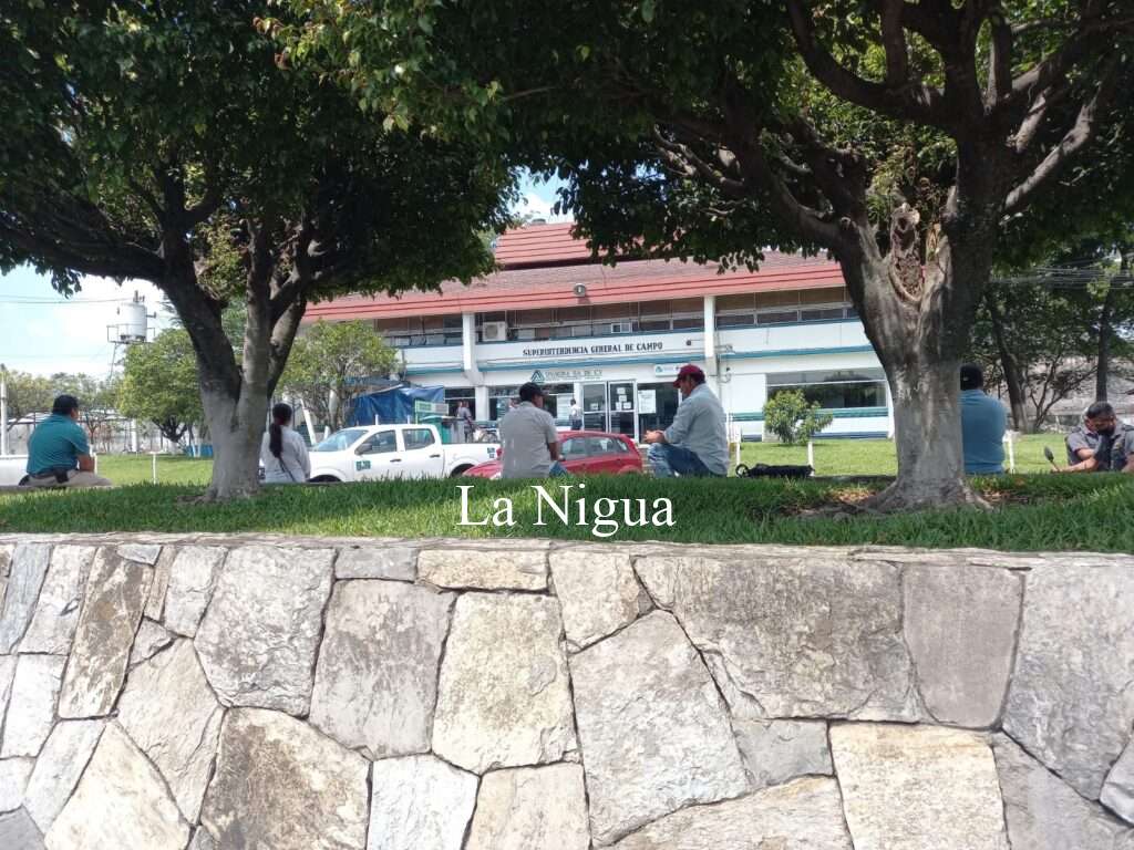El Potrero: Vivir como esclavos de extranjeros…ser tratados como limosneros. 4 f5ee337a c43d 4e09 919c 1f3b2367ef2d