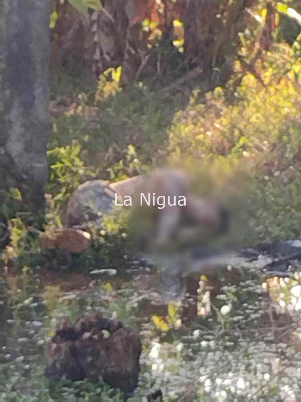 Asesinado a balazos en Vega de Alatorre 2 imagen 522089002822515799234621