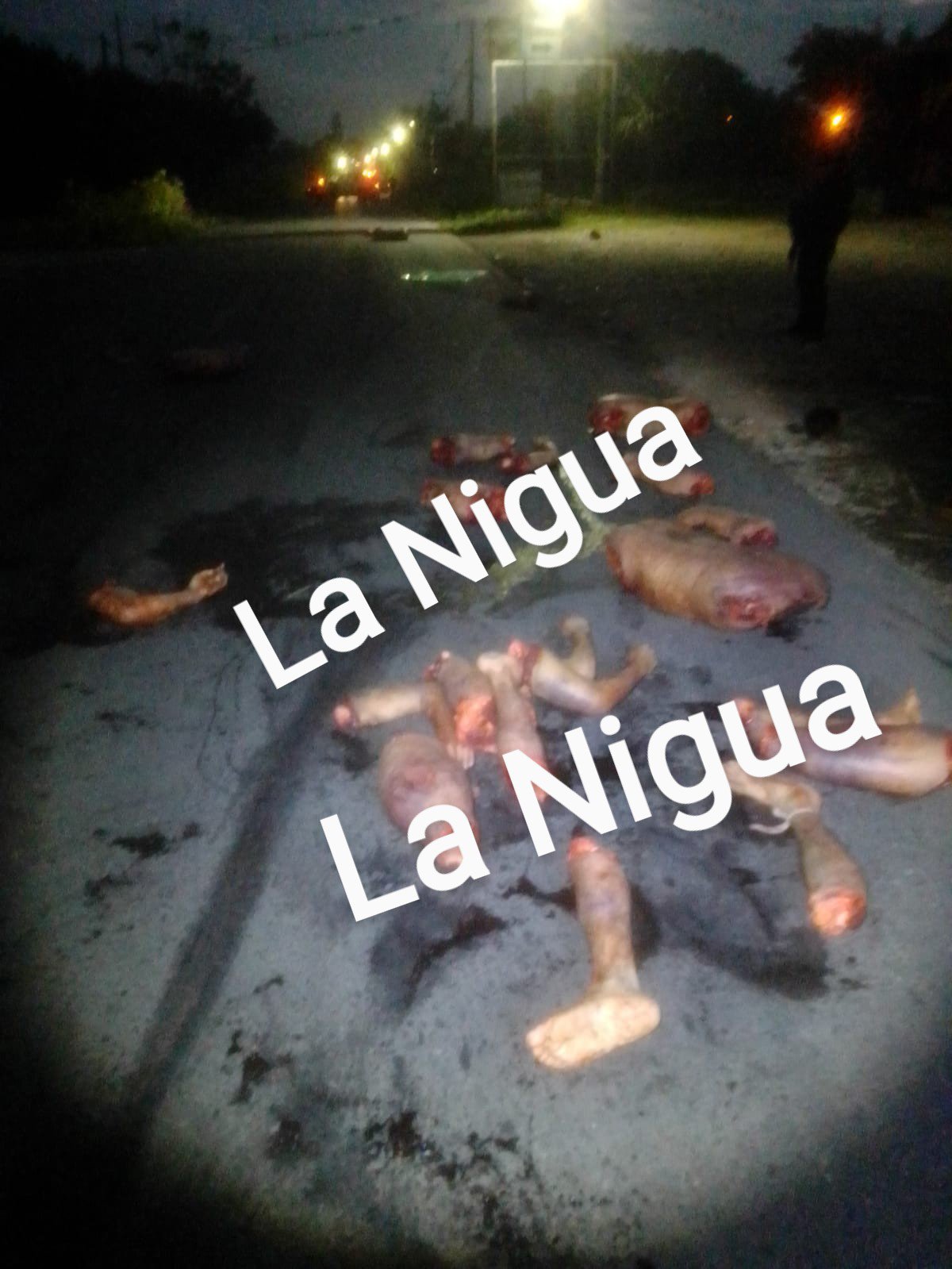 Arrojan 4 cabezas a la entrada de Potrero Nuevo 5 img 20211204 wa00137E2249080187308718073.