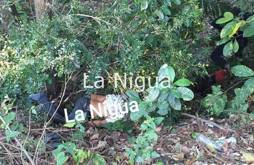 Se sale de la carretera en Atoyac y muere. 1 img 20211225 wa00527E33495795832105953344.