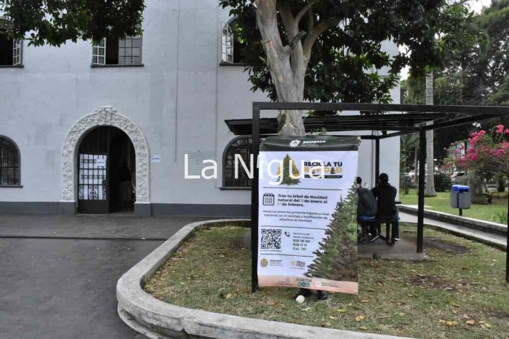 img 20220112 wa00132798355189433795936