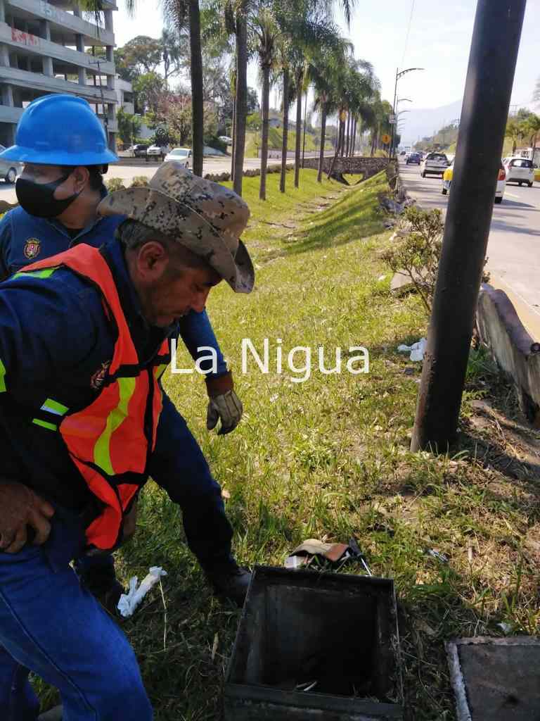 Restablecen luminarias del bulevar Tratados de Córdoba 1 img 20220113 wa00152936174128877203681