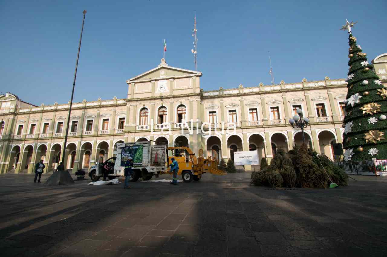 Inicia reciclaje de pinos navideños 5 img 20220113 wa00488908410498213939458