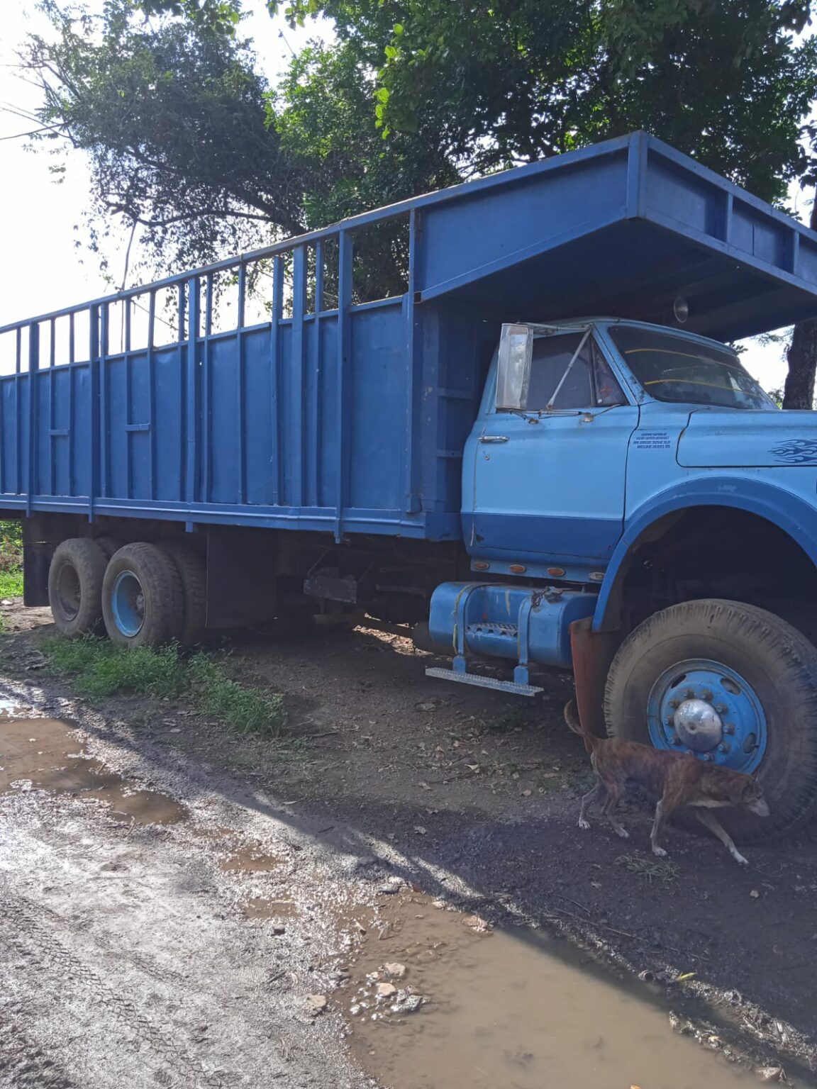 Niega haber robado torton, le robaron identidad