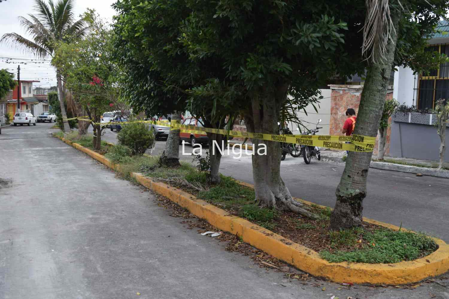 img 20220114 wa00504961532854783965463